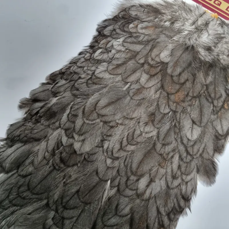 Whiting Coq de Leon Hen Saddle in Natural Dun-2